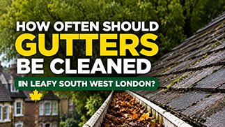 How Often Should Gutters Be Cleaned in Leafy Areas of South West London?