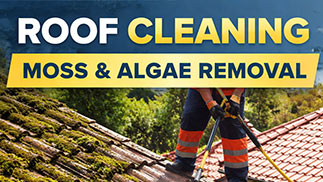 Roof Cleaning in Twickenham: How Moss and Algae Damage Your Property